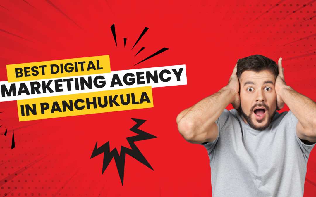 Best Digital Marketing Agency in Panchkula