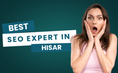 The Best SEO Expert in Hisar 2025
