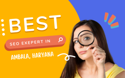 Best SEO Expert in Ambala